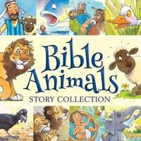 Produktbild: Bible Animals Story Collection