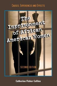 Produktbild: The Imprisonment of African American Women