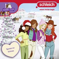 Produktbild: Folge 22: Spuren im Schnee