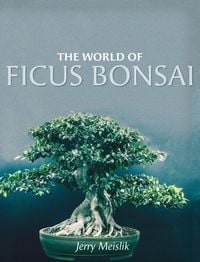 Produktbild: The World of Ficus Bonsai