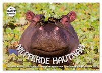 Produktbild: Emotionale Momente: Nilpferde hautnah (Wandkalender 2026 DIN A2 quer), CALVENDO Monatskalender