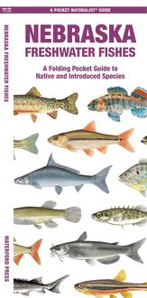 Produktbild: Nebraska Freshwater Fishes
