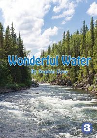 Produktbild: Wonderful Water
