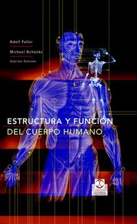 Bild vom Artikel Estructura y función del cuerpo humano vom Autor Adolf Faller