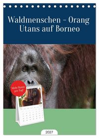 Produktbild: Tischplaner 2027 - Waldmenschen - Orang Utans auf Borneo (A5 Tischkalender zum Aufstellen) CALVENDO