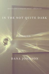 Produktbild: In the Not Quite Dark