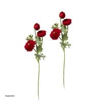 Produktbild: HTI-Living HTI-Living Ranunkel 2er Set Rot Flora HTI-Living Ranunkel 2er Set Rot Flora
