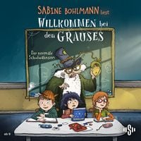 Produktbild: Der normale Schulwahnsinn