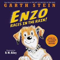 Produktbild: Stein, G: Enzo Races in the Rain!