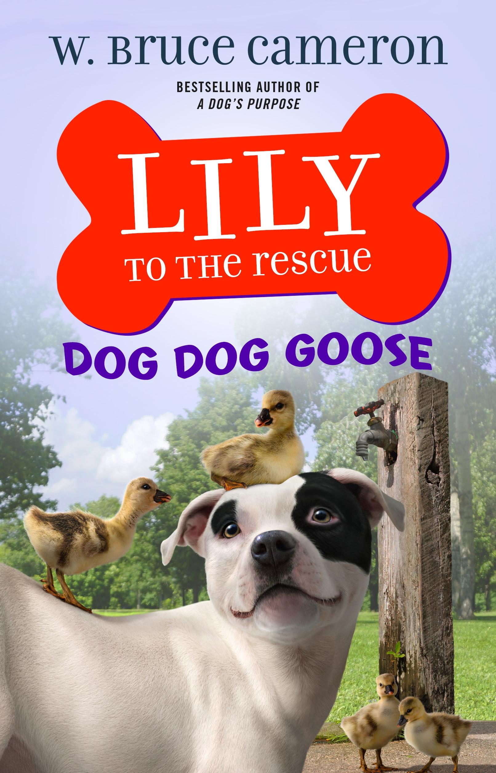 Produktbild: Lily to the Rescue: Dog Dog Goose