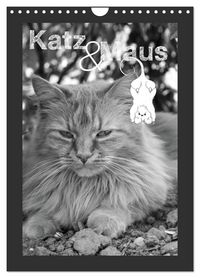 Produktbild: Katz & Maus (Wandkalender 2026 DIN A4 hoch), CALVENDO Monatskalender