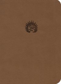Produktbild: Lbla La Biblia de Estudio de la Reforma, S&iacute;mil Piel, Caf&eacute; Claro, Spanish Edition