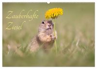 Produktbild: Zauberhafte Ziesel (Wandkalender 2027 DIN A2 quer), CALVENDO Monatskalender