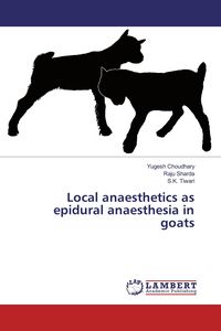 Produktbild: Local anaesthetics as epidural anaesthesia in goats