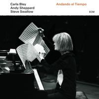 Produktbild: Andando el Tiempo