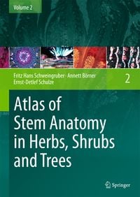 Produktbild: Atlas of Stem Anatomy in Herbs, Shrubs and Trees