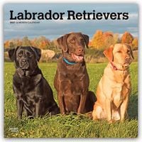 Produktbild: Labrador Retrievers &ndash; Labrador Retriever 2027 &ndash; 16-Monatskalender