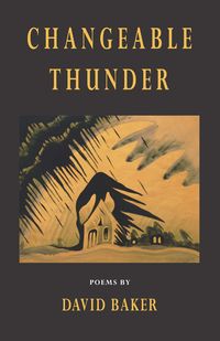 Produktbild: Changeable Thunder