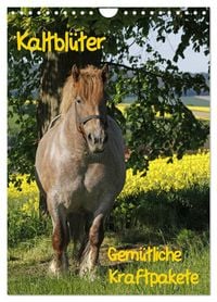 Produktbild: Kaltbl&uuml;ter (Wandkalender 2026 DIN A4 hoch), CALVENDO Monatskalender