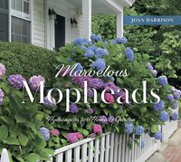 Produktbild: Marvelous Mopheads