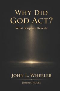 Produktbild: Why Did God Act?