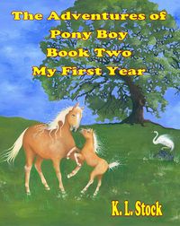 Produktbild: Adventures of Pony Boy Book Two: My First Year