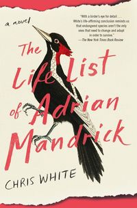 Produktbild: The Life List of Adrian Mandrick
