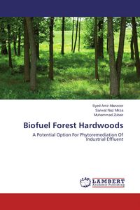 Produktbild: Biofuel Forest Hardwoods