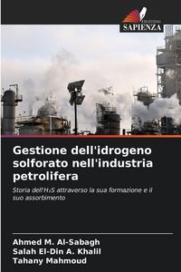 Produktbild: Gestione dell'idrogeno solforato nell'industria petrolifera