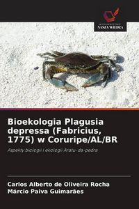 Produktbild: Bioekologia Plagusia depressa (Fabricius, 1775) w Coruripe/AL/BR