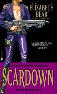 Produktbild: Scardown