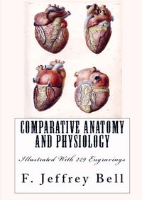 Produktbild: F. Jeffrey Bell: Comparative Anatomy and Physiology