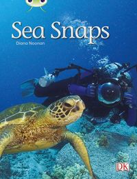 Produktbild: Bug Club Independent Non Fiction Year 1 Green A Sea Snaps