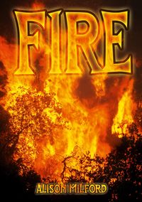 Produktbild: Fire