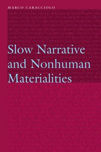 Produktbild: Caracciolo, M: Slow Narrative and Nonhuman Materialities