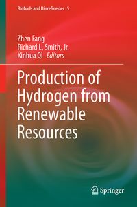 Produktbild: Production of Hydrogen from Renewable Resources