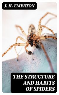 Produktbild: The Structure and Habits of Spiders