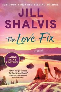 Produktbild: The Love Fix