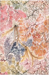 13-Monatskalender 2024 Anemone Maxi Vertikal von Paperblanks