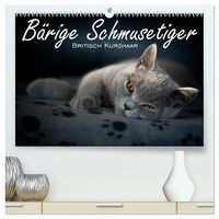 Produktbild: B&auml;rige Schmusetiger - Britisch Kurzhaar (hochwertiger Premium Wandkalender 2026 DIN A2 quer), Kunstdruck in Hochglanz
