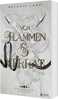 Produktbild: Von Flammen & Verrat (Die Geschichte der Anderswelt 2)