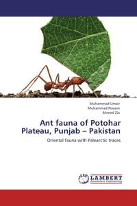 Produktbild: Ant fauna of Potohar Plateau, Punjab - Pakistan