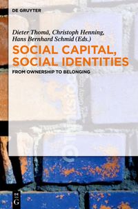 Bild vom Artikel Social Capital, Social Identities vom Autor 