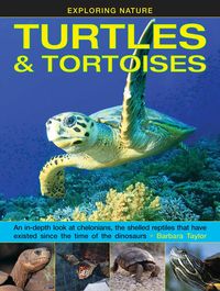 Produktbild: Exploring Nature: Turtles & Tortoises