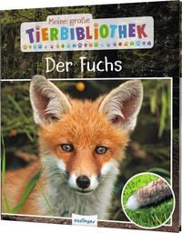 Produktbild: Meine gro&szlig;e Tierbibliothek: Der Fuchs