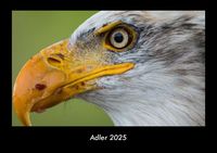 Produktbild: Adler 2025 Fotokalender DIN A3
