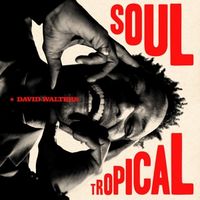 Produktbild: Soul Tropical (Gatefold)