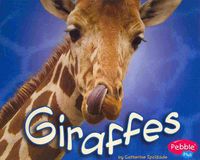 Produktbild: Ipcizade, C: Giraffes