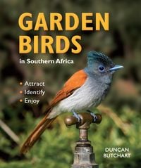 Produktbild: Garden Birds in Southern Africa