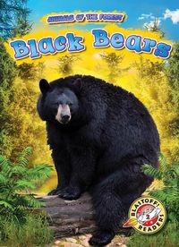 Produktbild: Black Bears